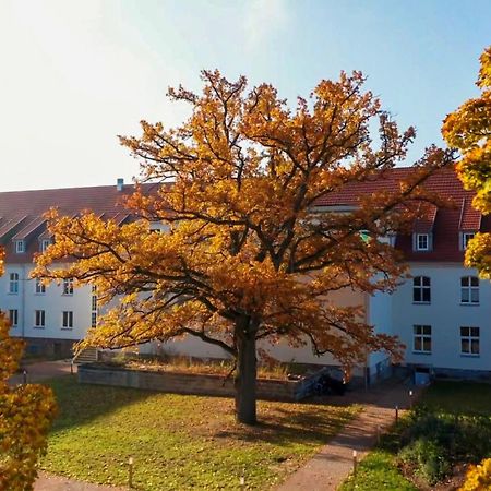 Parkresidenz Lychen, Ferienwohnung 8 Zewnętrze zdjęcie