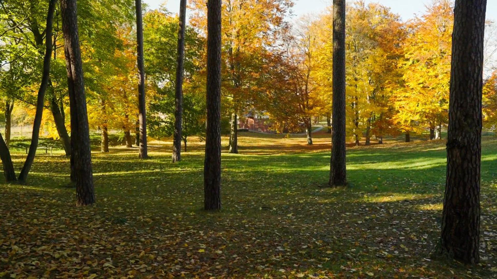 Parkresidenz Lychen, Ferienwohnung 8 Zewnętrze zdjęcie