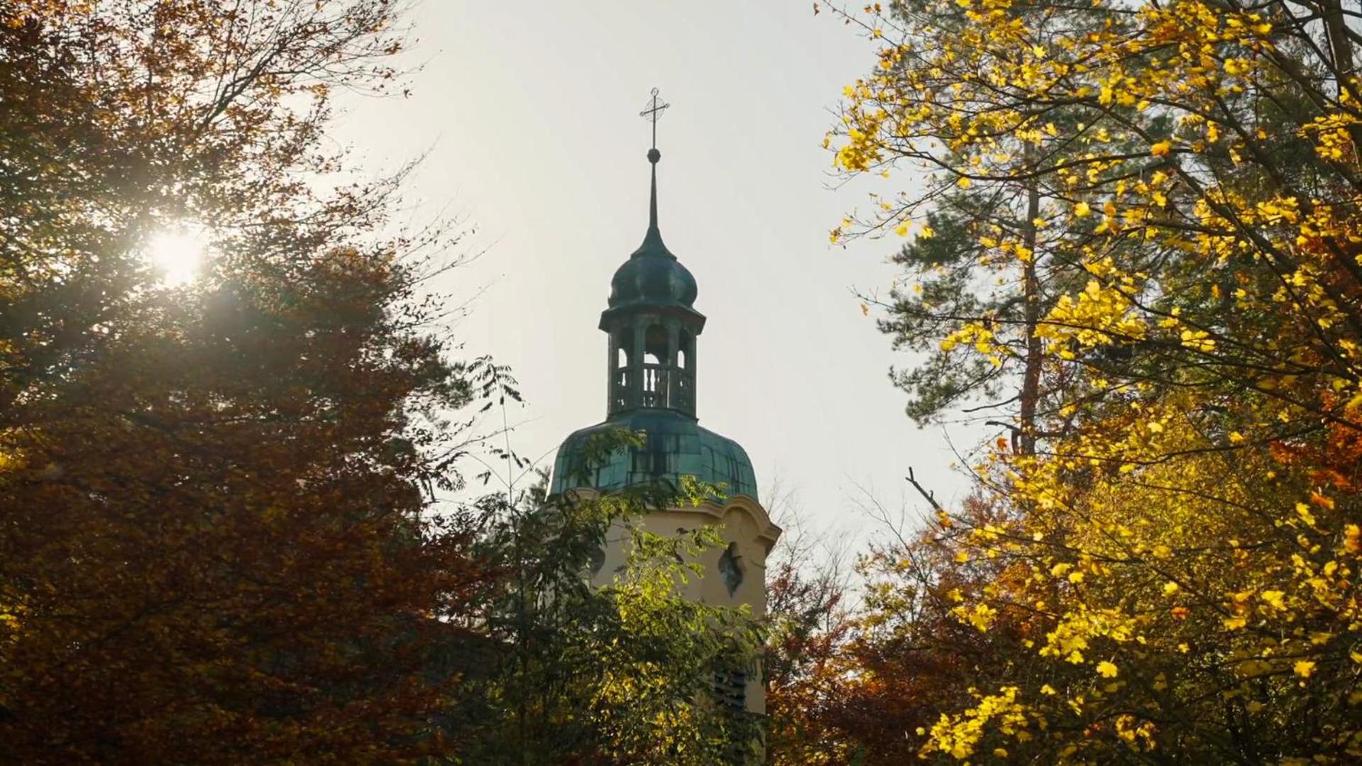 Parkresidenz Lychen, Ferienwohnung 8 Zewnętrze zdjęcie